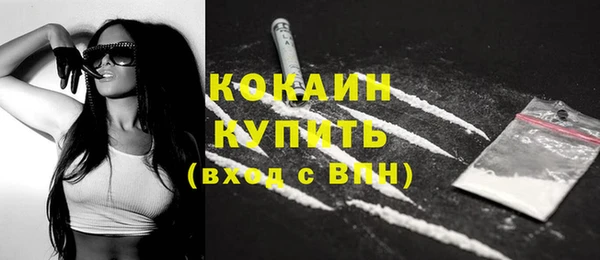 индика Михайловск