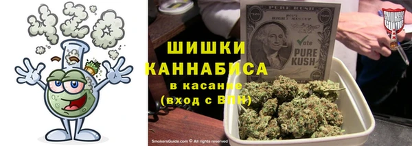 гидра Болохово