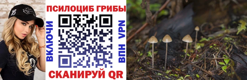 Псилоцибиновые грибы ЛСД  магазин  наркотиков  Луза 
